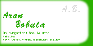 aron bobula business card