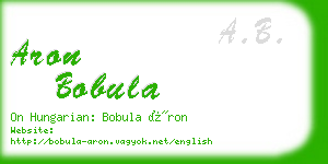 aron bobula business card